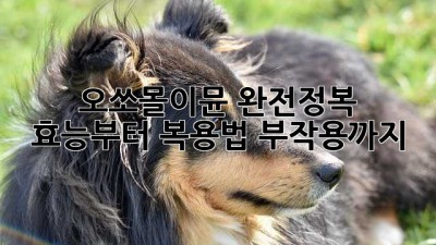 오쏘몰이뮨💊 완전정복! 효능부터 복용법, 부작용까지 💯